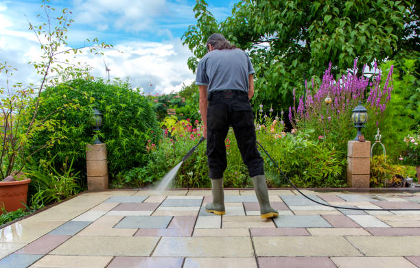Best Fence Cleaning  in Hunters Creek, FL
