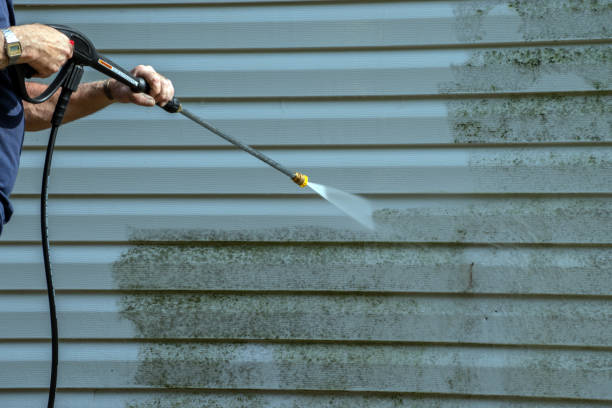 Best Sidewalk and Walkway Cleaning  in Hunters Creek, FL