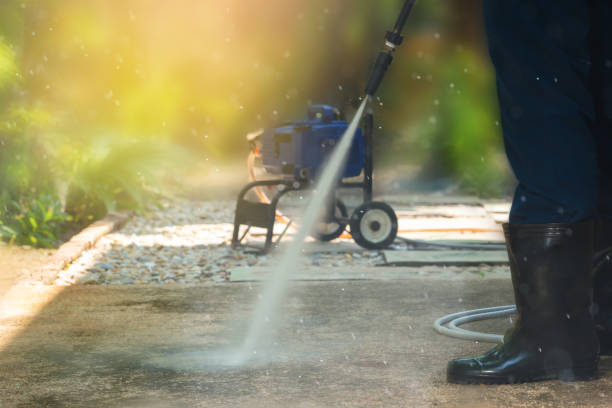 Best Animal Enclosure Cleaning  in Hunters Creek, FL